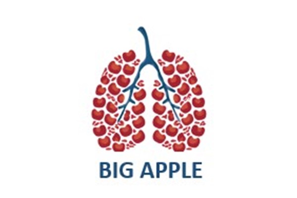 Logo BIG APPLE 2