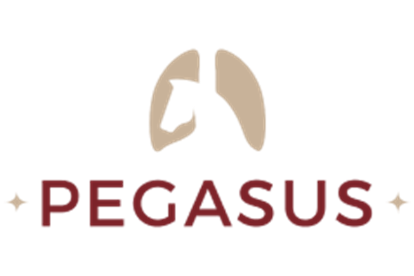 Pegasus Logo Cropped